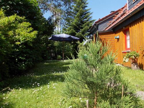 Ferienhaus Sequoia Hahnenklee