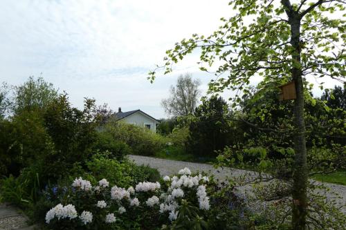 Ferienhaus-Silbermoewe