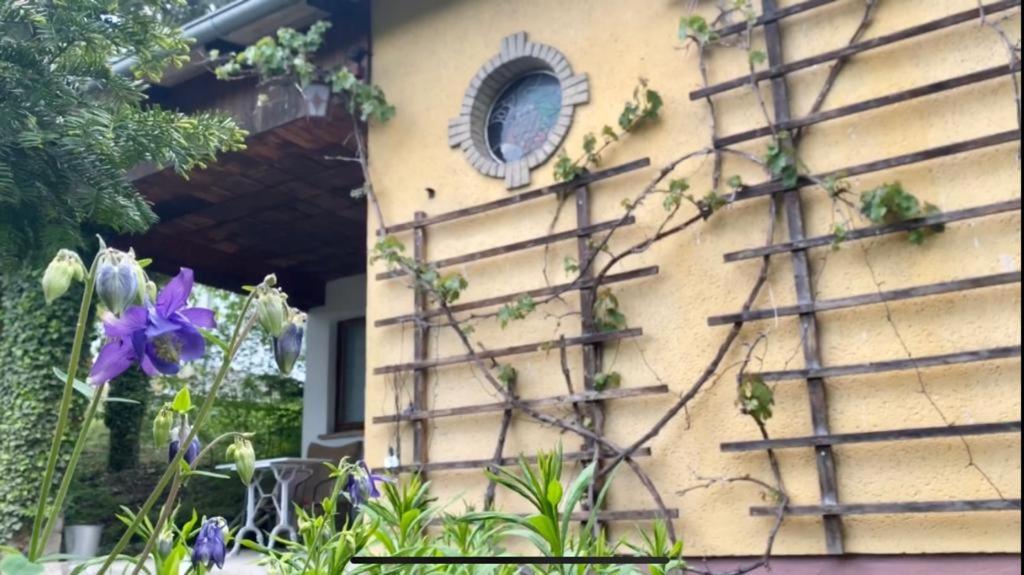 Ferienhaus Silvaner 74 Weinberge, 06618 Naumbourg