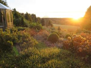 Ferienhaus Sonne, Harz und Sterne