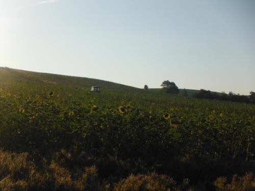 Ferienhaus Sonneneck