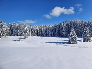 Maison de vacances Ferienhaus Sonnengelb im Herzen des Schwarzwaldes 12 Fichtelgebirgestraße 78141 Schönwald Bade-Wurtemberg