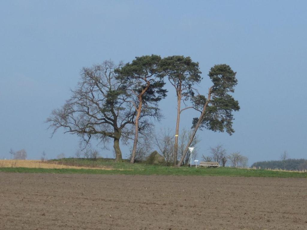 Ferienhaus Struckmann am Steinhuder Meer 6 Erlenweg, 31535 Neustadt am Rübenberge