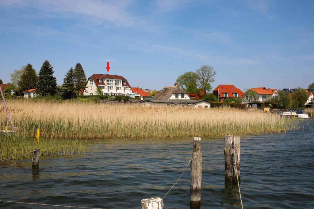 Maison de vacances Ferienhaus Südblick am Yachthafen Dorfstraße 30a 18586 Breege