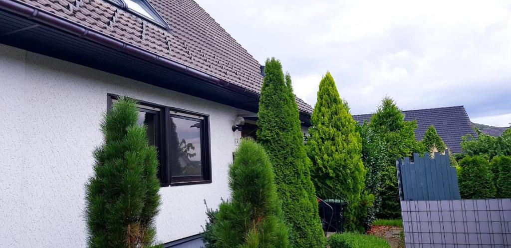 Ferienhaus Tausend & eine Nacht 19 Dahlienweg, 31020 Salzhemmendorf