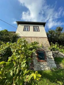 Maison de vacances Ferienhaus Traminer im Weinberg Schweigenberge 06632 Freyburg Saxe-Anhalt