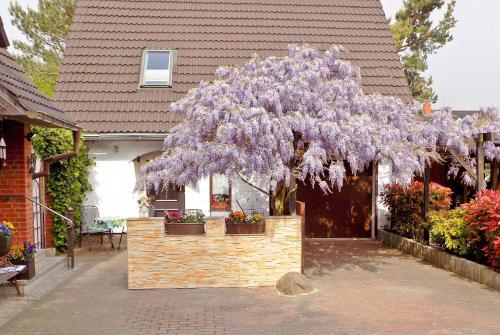 Ferienhaus Ueckeritz USE 3261