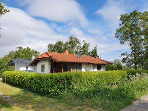 Ferienhaus Vier Pfoten