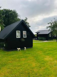 Ferienhaus Vogelkoje