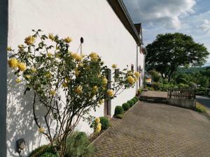 Maison de vacances Ferienhaus Vulkaneifel Landhaus Loogh Auf der Steip 5 54578 Kerpen Rhénanie-Palatinat