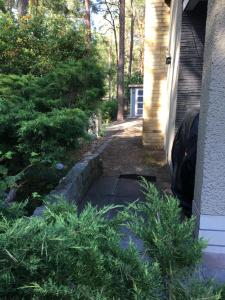 Ferienhaus Wald und Seeidylle, nahe Badesee, Spreewald, Berlin