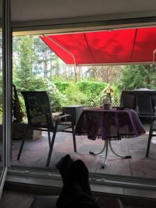 Maison de vacances Ferienhaus Wald und Seeidylle, nahe Badesee, Spreewald, Berlin Sputendorfer Straße 27 B 15746 Groß Köris Brandebourg