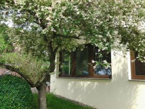 Ferienhaus Waldblick