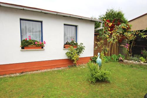 Ferienhaus Waren SEE 6421