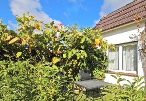 Ferienhaus Waren SEE 6941