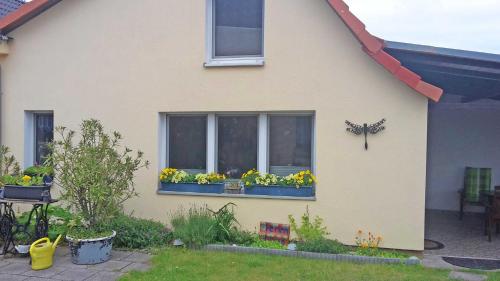 Ferienhaus \
