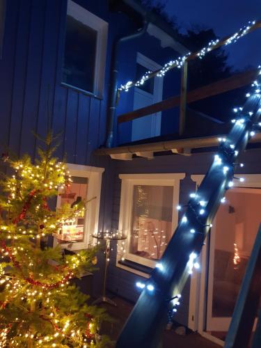 Ferienhaus \