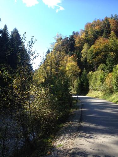 Ferienhütte in Ruhpolding