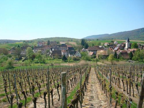 Ferienidyll Cleebourg