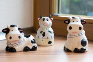 Ferienwohnung Dreimaster W2