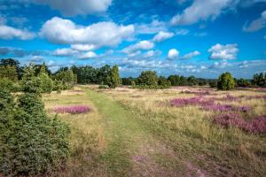 Ferienwohnung Heide View