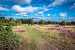 Maison de vacances Ferienwohnung Heide View Oberhaverbeck 13 29646 Bispingen Basse-Saxe