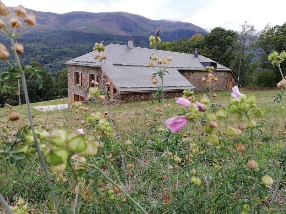 Maison de vacances Ferme d'alpage grand confort sur 3ha dans un cadre naturel chemin de Matassous - Fraymène 09400 Saurat