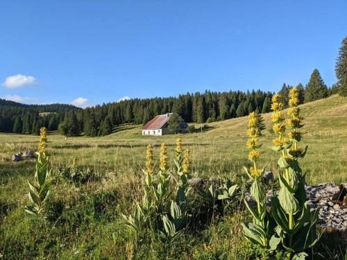 Ferme d'alpage La Bâtie Dessous