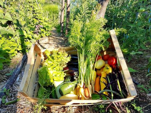 Ferme de chalas, Gîte en transition écologique