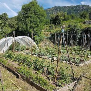 Ferme de chalas, Gîte en transition écologique