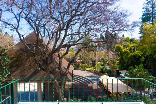 Finest Rentals - Downtown Villa