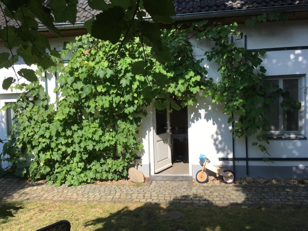 Fischer´s Häuschen 1 Kirchstraße, 15913 Straupitz