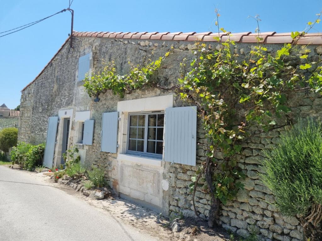 Maison de vacances Fleurs de vigne, gîte charentais au grand coeur 2 rue des mouriquettes Le Briand 16120 Bouteville