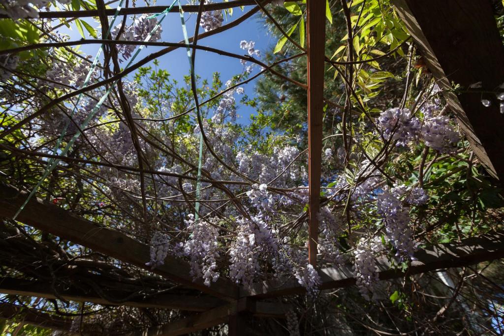 Maison de vacances FLH Ericeira Country House with Garden Rua das Acácias 14 2655-001 Casa do Cordeiro