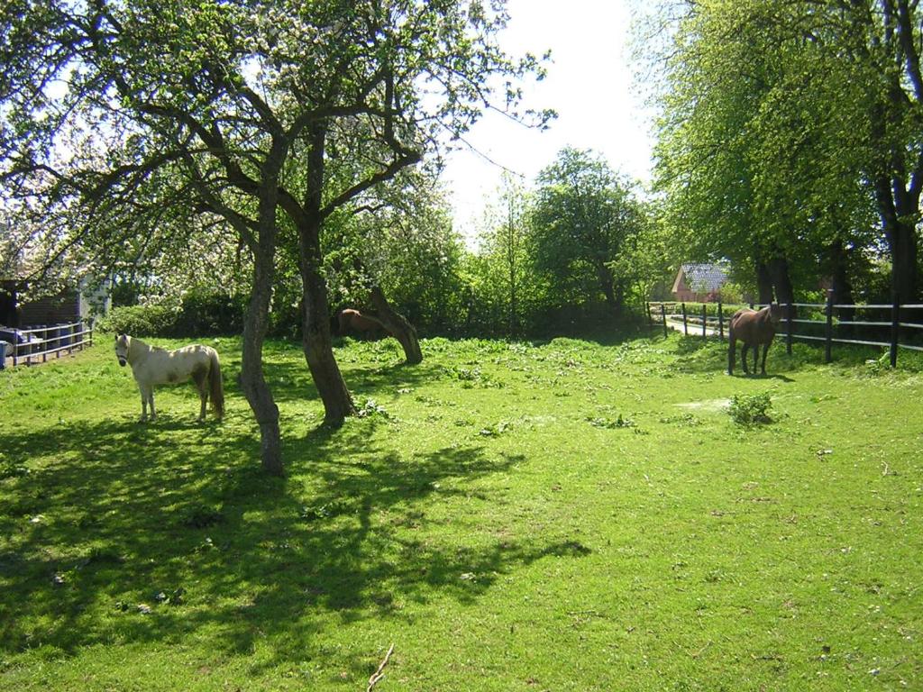 Fördefarm-Natura Fördestraße 3, 24977 Westerholz