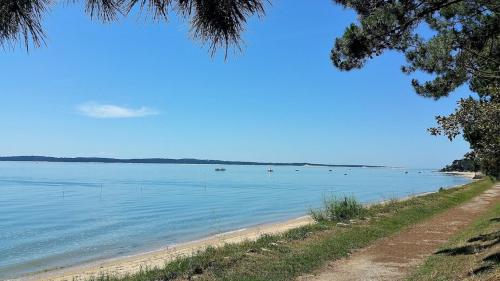 Forest and thalasso beach a few meters