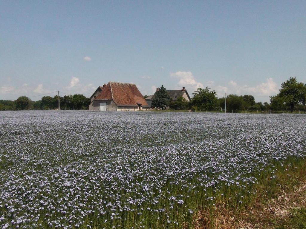 Forsthaus in Katzwinkel 54552 Katzwinkel