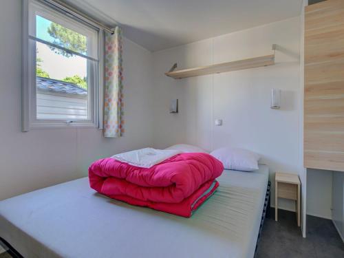 Friendly campsite near the popular seaside resort of Le Cap d'Agde