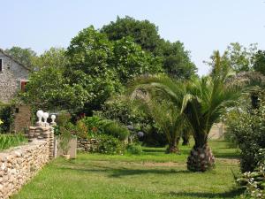 Fully restored house from 1816 swimmingpool Corsica