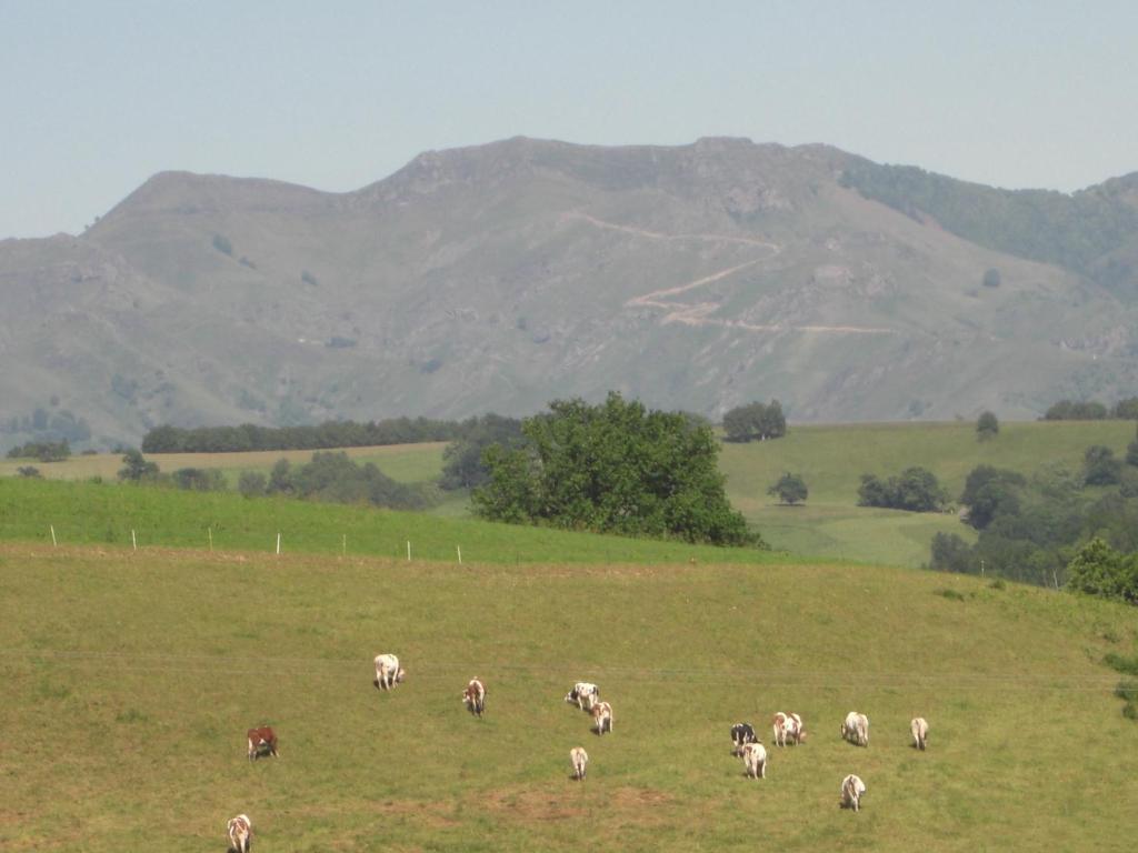 Furnas Sweet Home