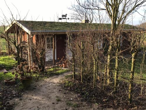 Gartenhaus Frieda