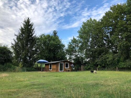 Gartenhütte - Schlafen bei den Schafen