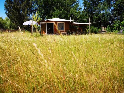 Gartenhütte - Schlafen bei den Schafen