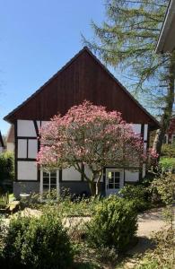 Maison de vacances Gemütliches Ferienhaus im Extertal/ Lippe 3 Königsgrund 32699 Extertal Rhénanie du Nord - Westphalie