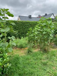 Gemütliches Ferienhaus mit Garten