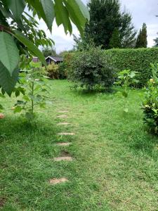 Gemütliches Ferienhaus mit Garten