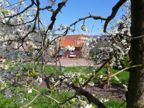 Gemütliches Häuschen im Alten Land