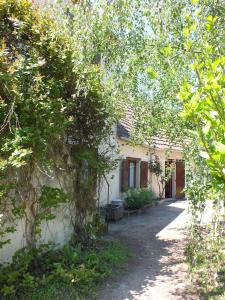 Maison de vacances Georgeluc 1, rue de la cour poulet 58240 Langeron -1