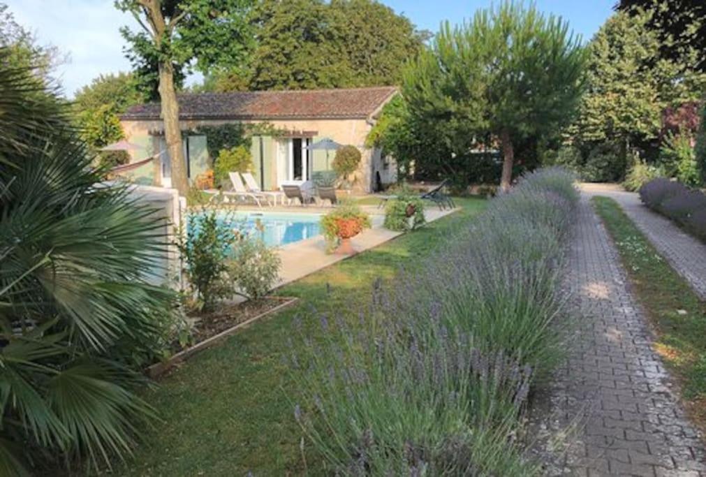 Maison de vacances gîte 2 à 4 personnes (SPA, Sauna, piscine chauffée) 10 Rue du Marais Doux 17220 Saint-Vivien