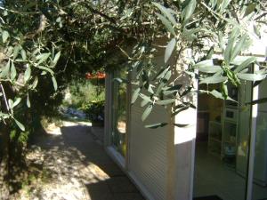 Gite à Bandol